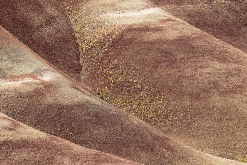 Painted Hills in the John Day Fossil Beds National Monument at Mitchell City, Wheeler County, Northe by Frank Fichtmüller