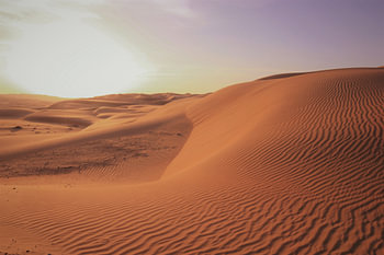 Duinen