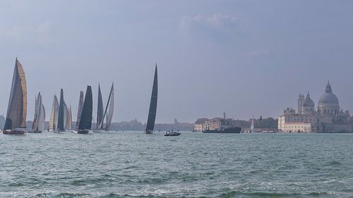 Course de voiliers à Venise II