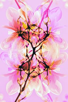 Lente-impressie met magnolia's in roze