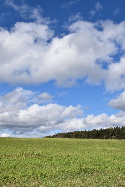 Ein Feld unter einem Sommerhimmel von Claude Laprise