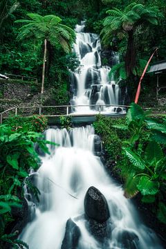 Beautiful waterfall on Bali by road to aloha