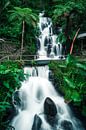 Une belle cascade sur Bali par road to aloha Aperçu