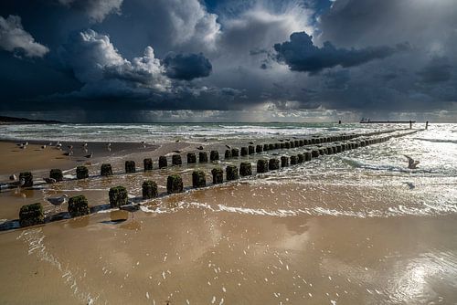 Le long de la côte de Zélande