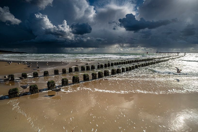 Entlang der Küste von Zeeland von Ria Overbeeke