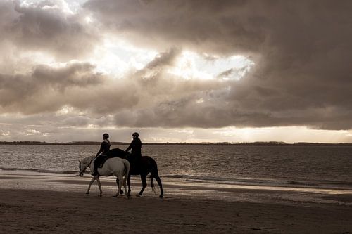 Paardenrit op het strand