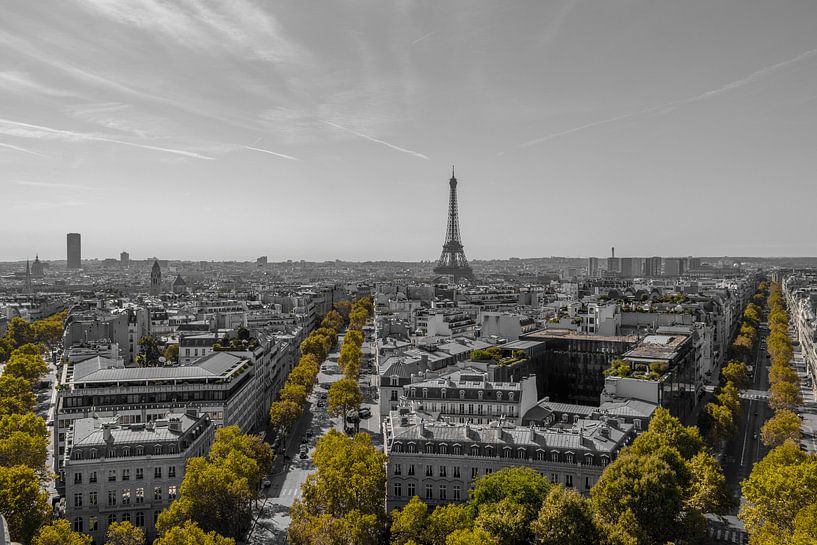 Paris in schwarz weiß und grün von Patrick Löbler