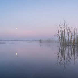 Mist over the water by Sander van der Werf