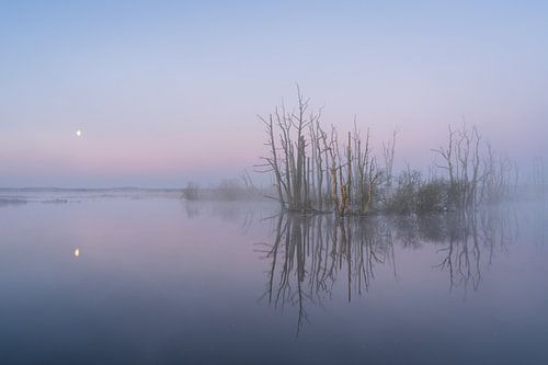 Mist over the water by Sander van der Werf