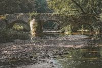 historische Nisterbrücke bei der Abtei Marienstatt