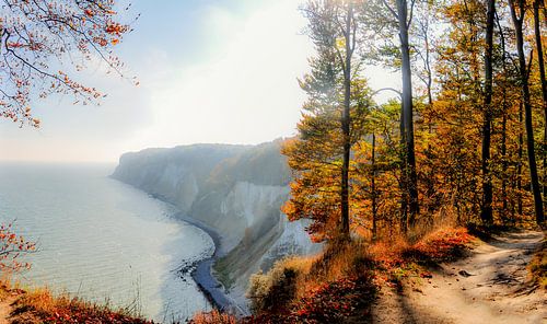 Krijtrotsen - Herfst bij de Stubbenkammer