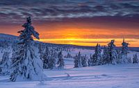 Winter Sunset in Norway