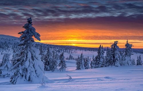 Winterlicher Sonnenuntergang in Norwegen von Adelheid Smitt