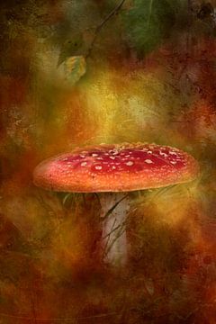 Fly agaric still life by Heike Hultsch