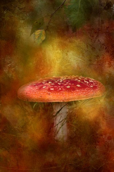 Nature morte à l'agaric mouche par Heike Hultsch