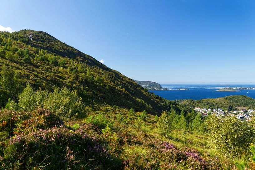 Grüne Landschaft auf dem Weg zum Gipfel des Sukkertoppen mit Fjordlandschaft und Inseln bei Alesund von Anja B. Schäfer