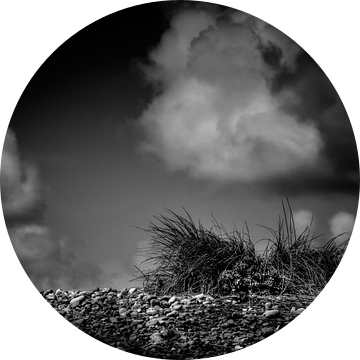Grass on the rocks van Ruud Peters