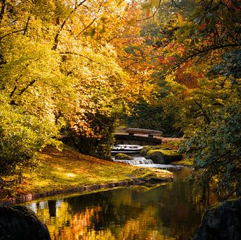 Profiter de l'automne, la plus belle saison de l'année