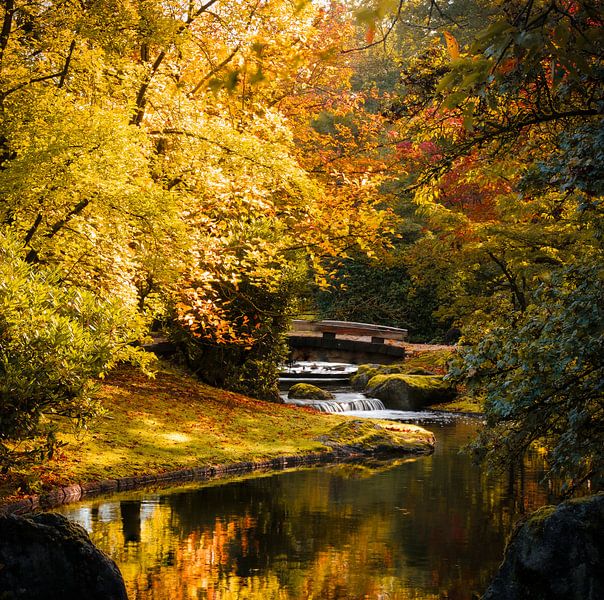 Enjoying autumn, the most beautiful season of the year by Bart cocquart