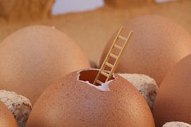 Lukenei 2.0 von Ellen Pruiksma