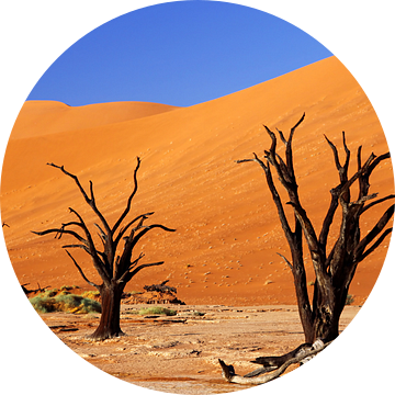 Dode Vlei Namibië van W. Woyke