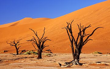 Dead Vlei Namibie