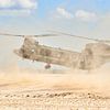 Chinook-Transporthubschrauber bei einer landung von Jenco van Zalk