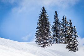 Snowy landscape with couple of trees by Dennis Kuzee