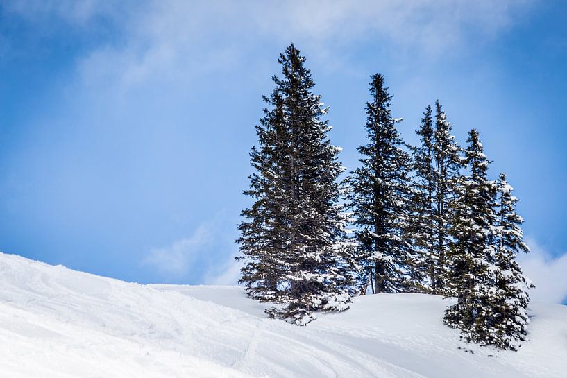 Landschaft mit Schnee, Berge und Kiefern von Dennis Kuzee