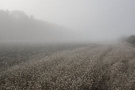 French countryside by Alex de Bolivar