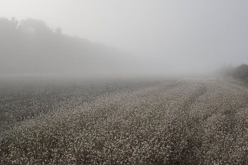 Franse platteland