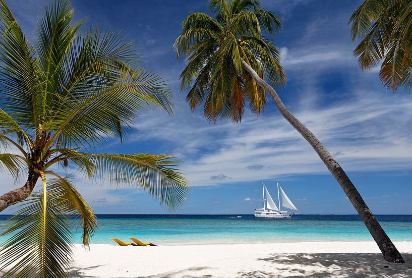 Tropical Daydream by Norbert Probst