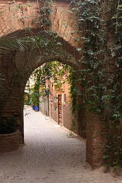 Allée botanique à Marrakech | Maroc | Photographie de rue | Photographie de voyage sur Kimberley Helmendag