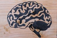 Brain (2/3) by hou2use thumbnail