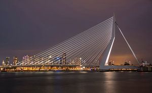 Le pont Erasmus de Rotterdam la nuit sur shoott photography