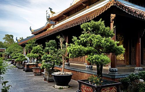 Traditionele tempel en de kunst van bonsai