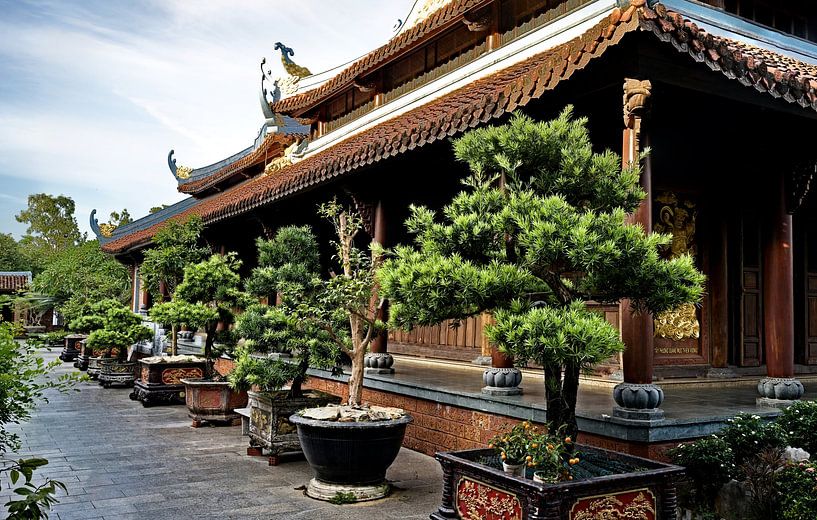 Traditional temple and the art of bonsai by Frank Photos
