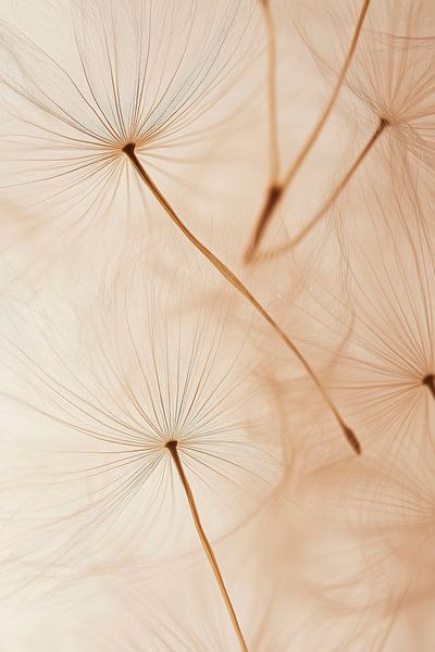 Graines de pissenlit par Poster Art Shop
