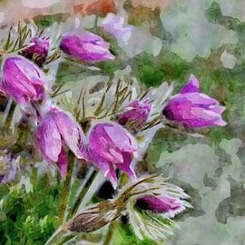 Thunder von Andreas Wemmje