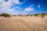 Duinen van De Horsen Texel van Rob Boon thumbnail