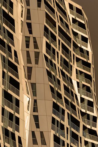 Calypso Rotterdam in evening sun