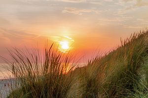 zonsondergang van Cindy van der Sluijs