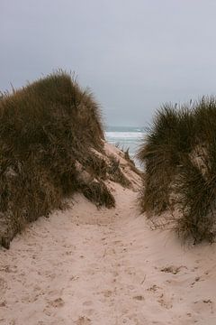 Duinen Bretagne van HelloHappylife
