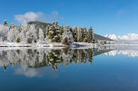 Enchanting reflective landscape in Wyoming by Dennis en Mariska thumbnail