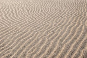 Golven in wit zand, strand op Texel van Bianca Kramer