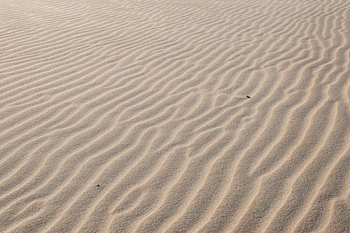 Golven in wit zand, strand op Texel