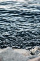 Les vagues de la mer Baltique à faire rêver