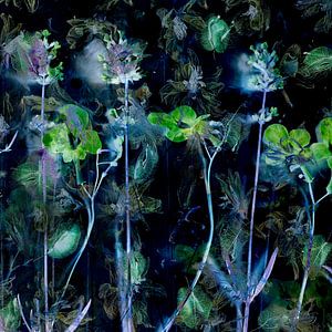 Schilderachtige, abstracte foto met bloemen in groentonen. van Saskia Dingemans Awarded Photographer