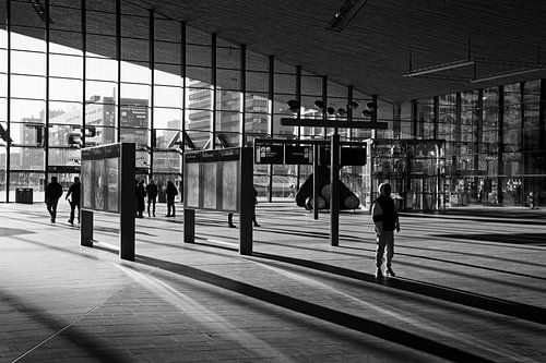 Stationshal Rotterdam Centraal met winterzon