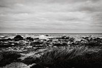 Cape Arkona